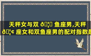 天秤女与双 🦋 鱼座男,天秤 🦢 座女和双鱼座男的配对指数是多少